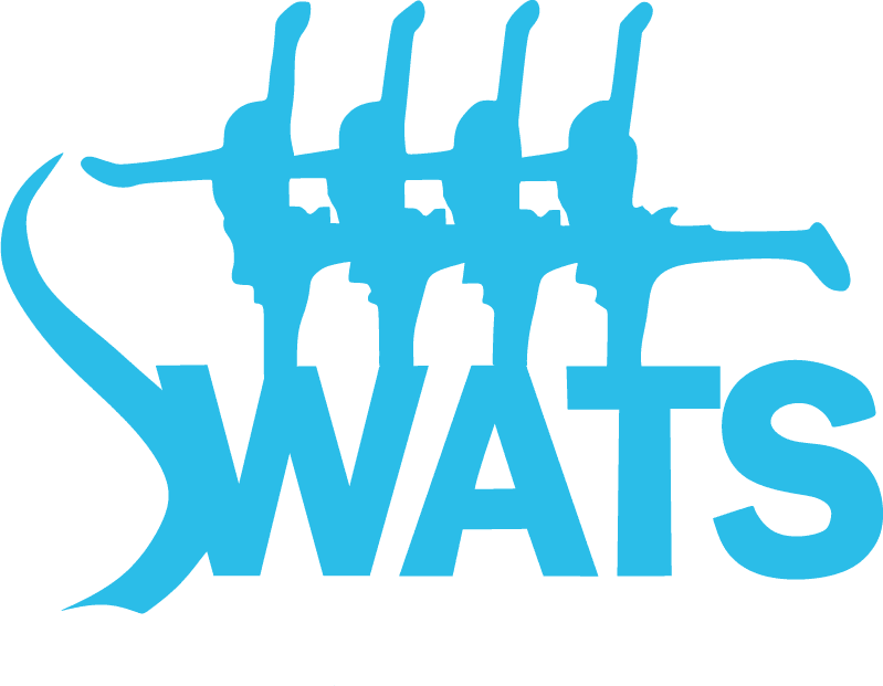 Wasa Team Skaters